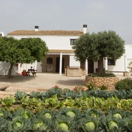 La Iaia Merce * L'Aldea