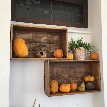 La Iaia Merce Country house L'Aldea